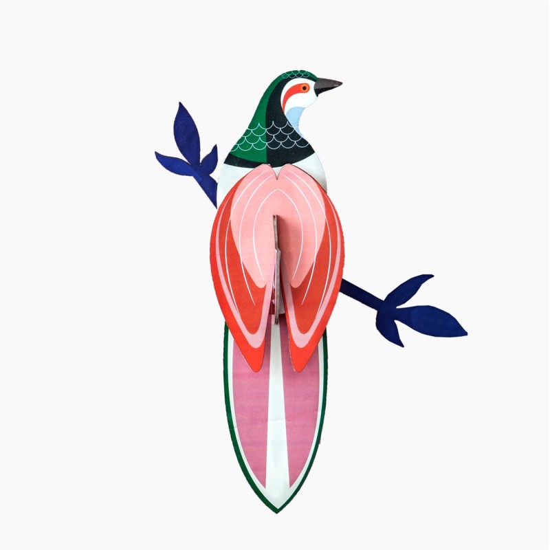 OISEAU RANI - STUDIO ROOF