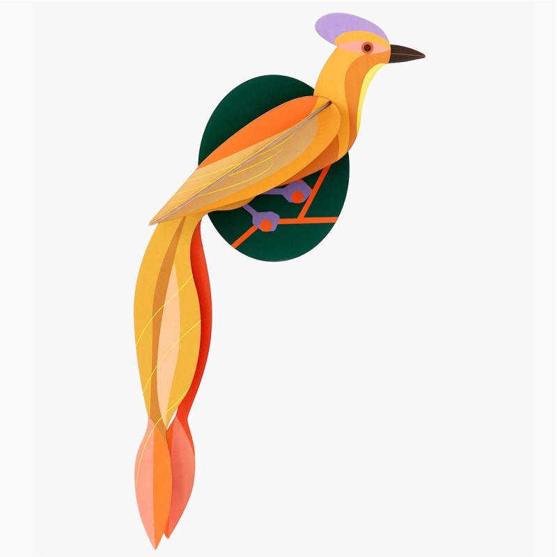 OISEAU OLANGO - STUDIO ROOF