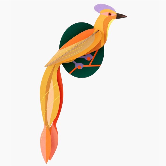 OISEAU OLANGO - STUDIO ROOF