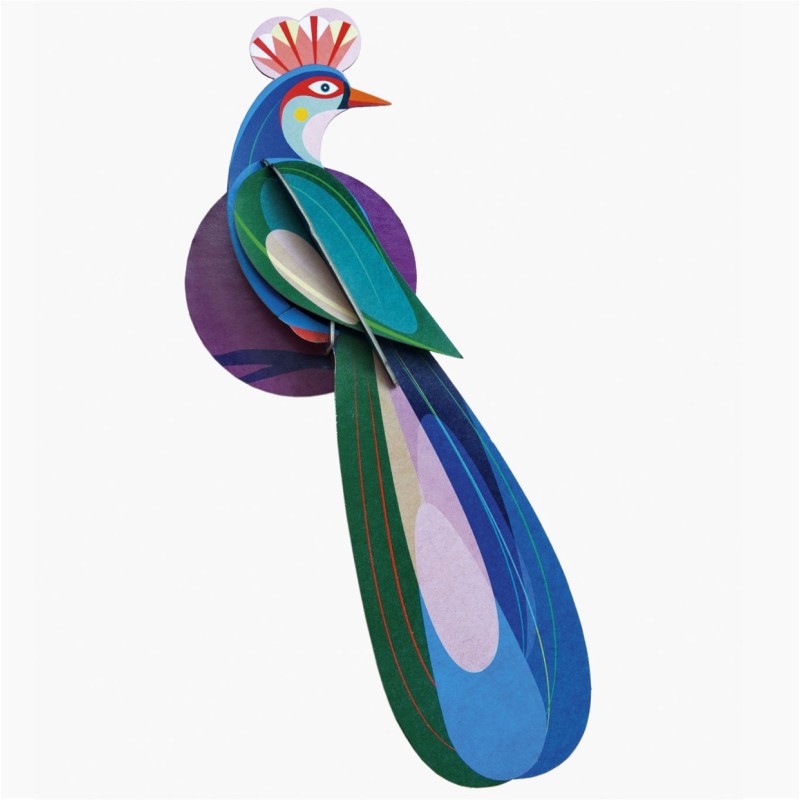 OISEAU BANDA - STUDIO ROOF