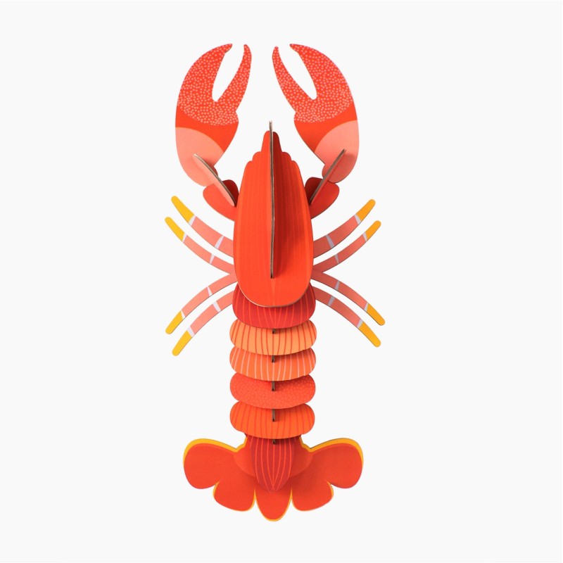 HOMARD - STUDIO ROOF