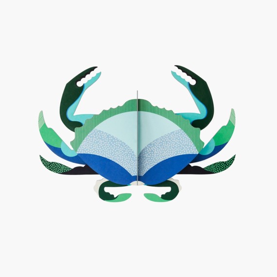 CRABE AQUAMARINE - STUDIO ROOF