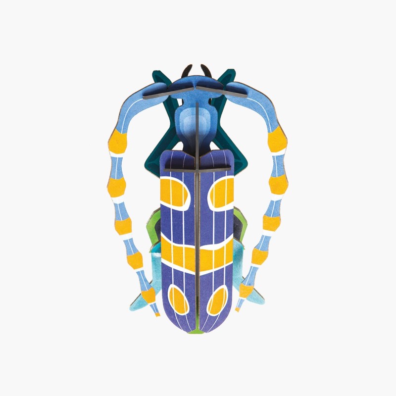 ROSALIA BEETLE - STUDIO ROOF