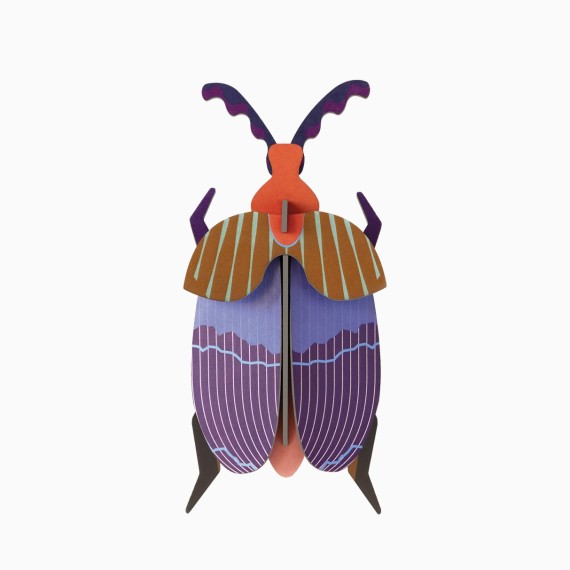 QUEEN BEETLE - STUDIO ROOF