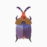 QUEEN BEETLE - STUDIO ROOF