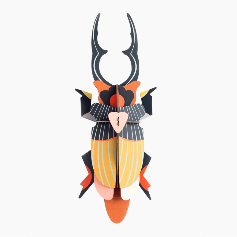 GIANT STAG BEETLE - STUDIO ROOF