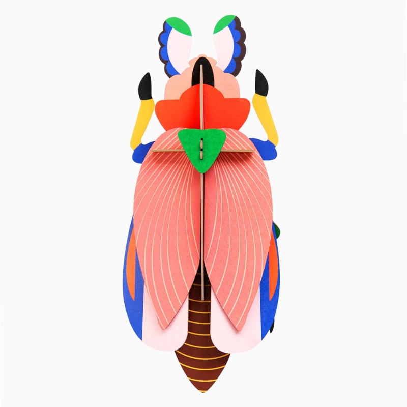 GIANT LADY BEETLE - STUDIO ROOF