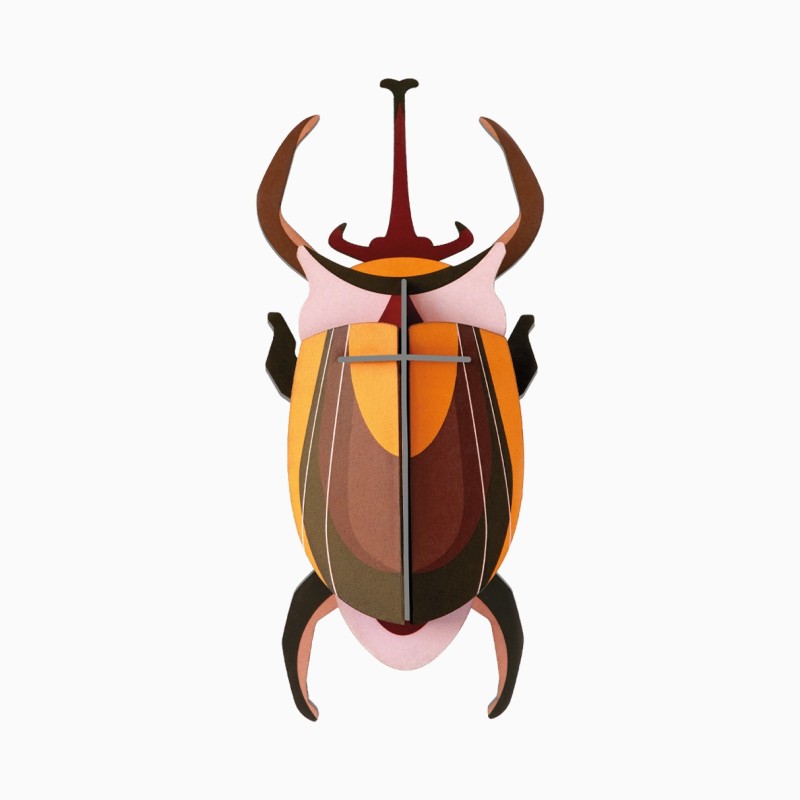 ELEPHANT BEETLE - STUDIO ROOF