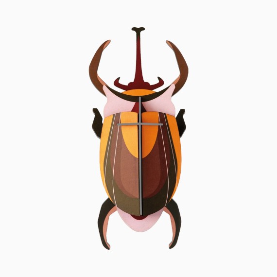 ELEPHANT BEETLE - STUDIO ROOF