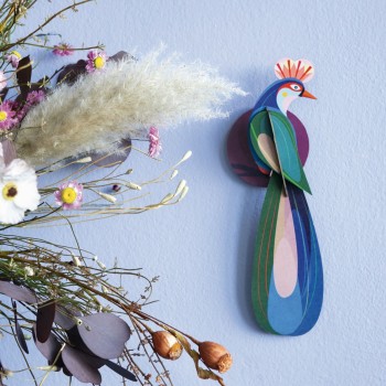 OISEAU BANDA - STUDIO ROOF