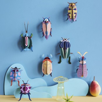 VIOLET CLICK BEETLE - STUDIO ROOF