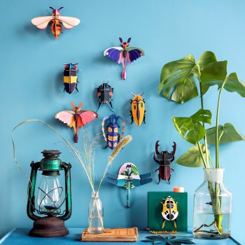 ROSALIA BEETLE - STUDIO ROOF