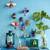 ROSALIA BEETLE - STUDIO ROOF