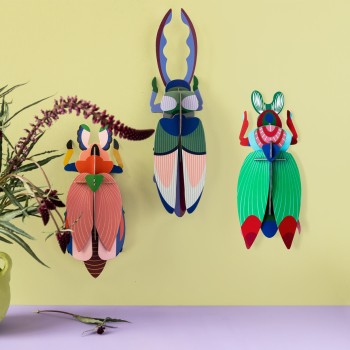 ANTLER BEETLE - STUDIO ROOF