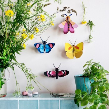 PAPILLON PEACOCK - STUDIO ROOF