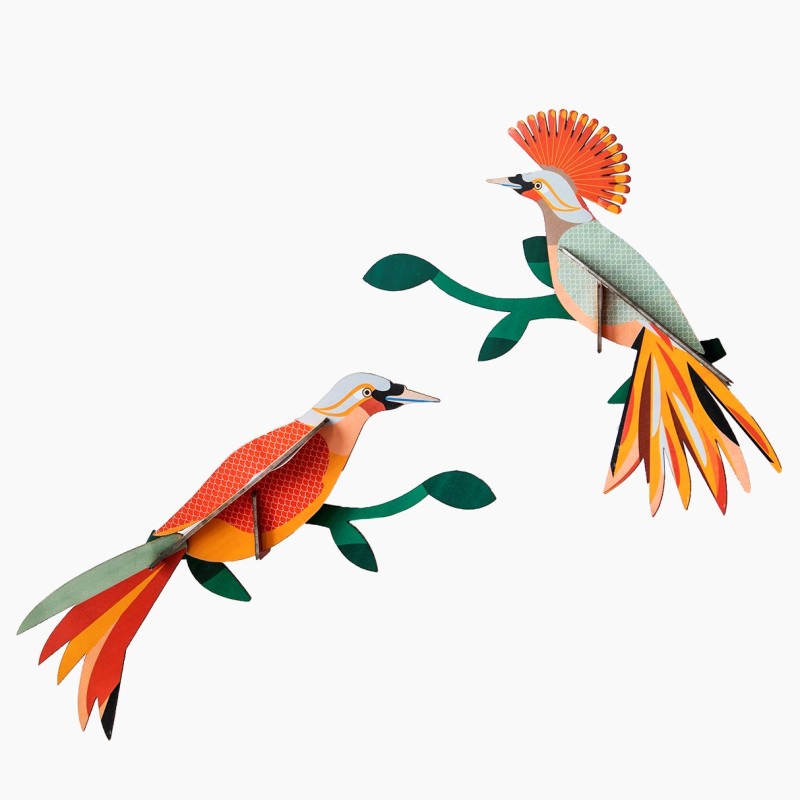 OISEAU OBI - STUDIO ROOF