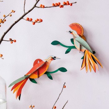 OISEAU OBI - STUDIO ROOF