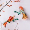 OISEAU OBI - STUDIO ROOF