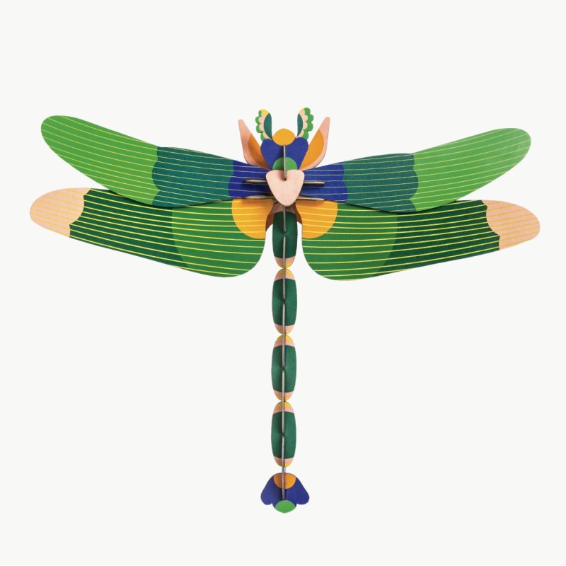 LIBELLULE VERTE - STUDIO ROOF