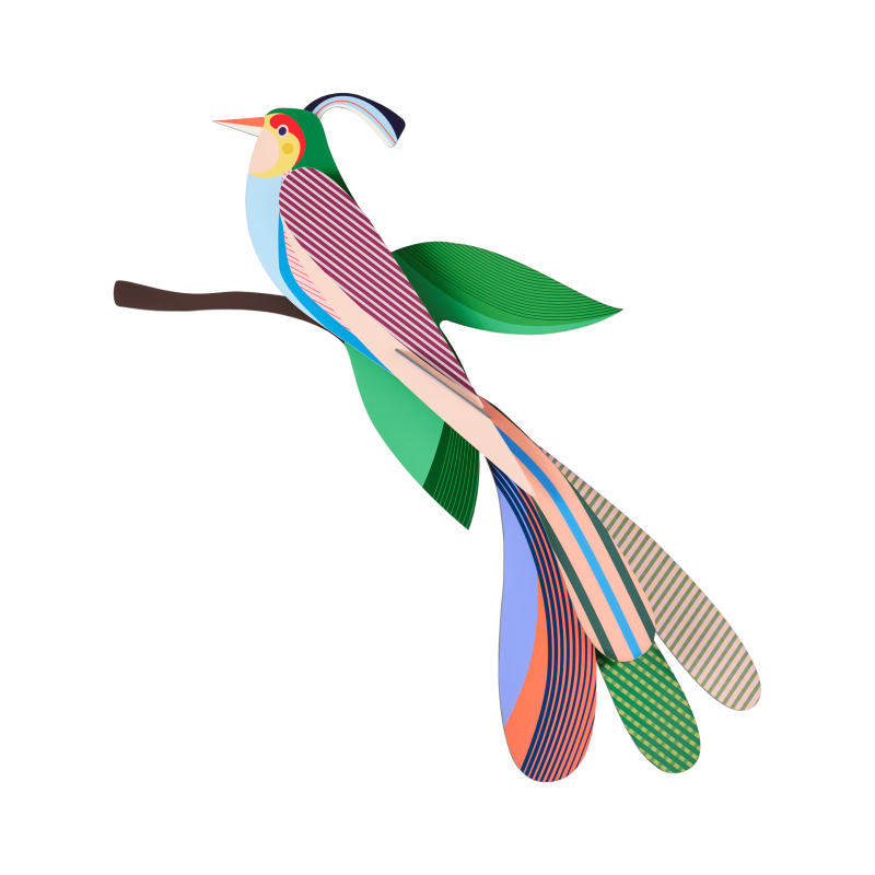OISEAU MAYA - STUDIO ROOF