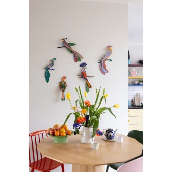 OISEAU NIAS - STUDIO ROOF