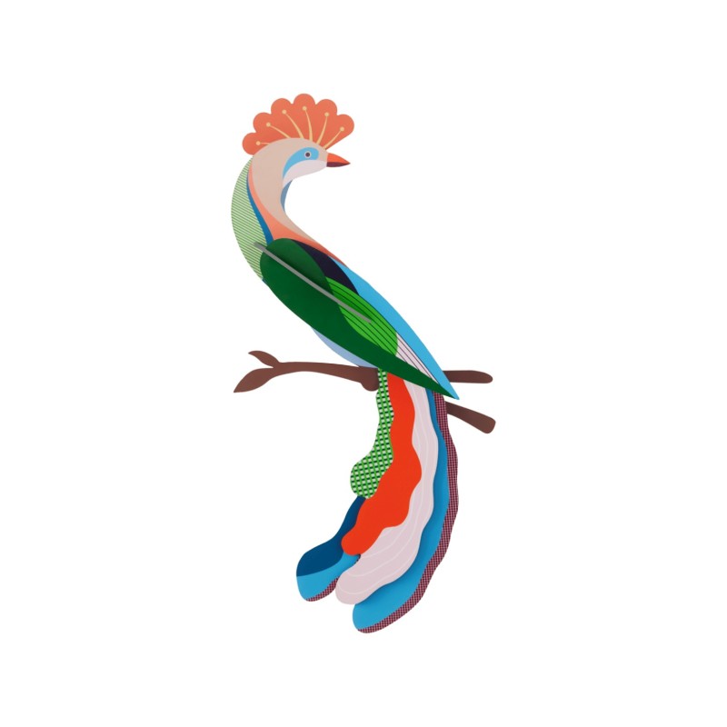 OISEAU METI - STUDIO ROOF