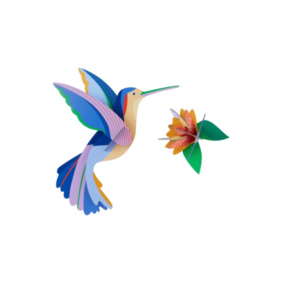 OISEAU COLIBRI - STUDIO ROOF