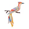 OISEAU SABAH - STUDIO ROOF