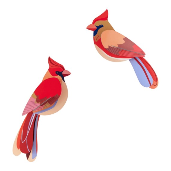 DUO CARDINAL - STUDIO ROOF