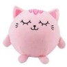 PELUCHE CHAT ROSE