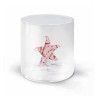 VERRE ÉTOILE DE MER 25CL EN BOROSILICATE
