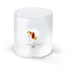 VERRE CHIEN 25CL BOROSILICATE