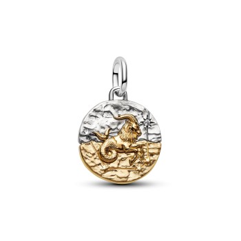 CHARM MÉDAILLON SIGNE DU CAPRICORNE