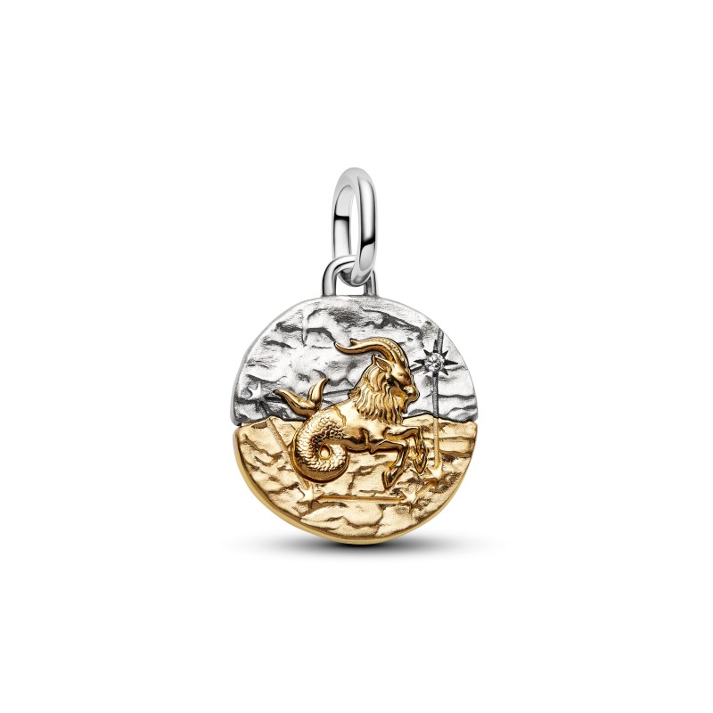 CHARM MÉDAILLON SIGNE DU CAPRICORNE