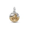 CHARM MÉDAILLON SIGNE DU CAPRICORNE